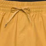 Short Primary Solid Elastic Amarillo 3