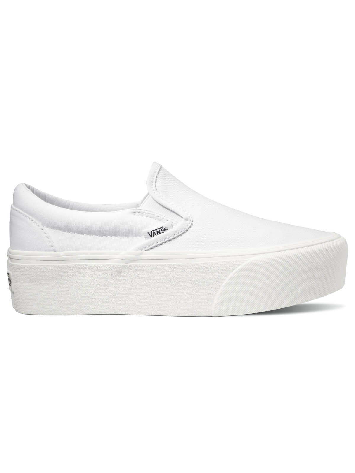 (CANVAS) TRUE WHITE
